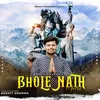 About Bhole Nath Mere Song