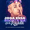About Joga Essa Buceta na Glock Rajada Song
