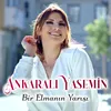 About Bir Elmanın Yarısı Song