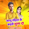 About Jaanu Tohra Ke Kaise Bhulla Di Song