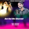 About Hai Hai Mo Gharani Song