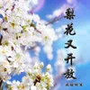 About 梨花又开放 Song