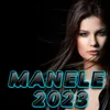 Muzica Manele 2023