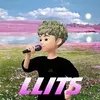 About LLITS Song