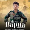 About Mere Bapua Song