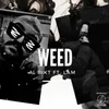 About Weed Song