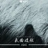 About 表面过程 Song