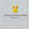 About Disfunctional Rabbit Song