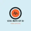 SOUL MATE OF DJ