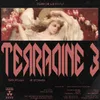 About TERRADINE 3 Song