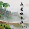 About 我爱你中华 Song