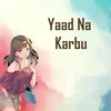 About Yaad Na Karbu Song