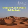 About Trabajar Con Sonidos Del Desierto Song