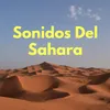 Sonidos Del Sahara