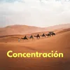 About Concentración Song