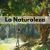 About La Naturaleza Song