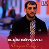 About Ürəyimi Coşdur Song