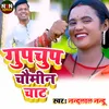 About GUPCHUP CHOMIN CHAT Song