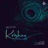 About Krishna Song