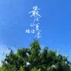 最后的夏季