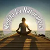 Natur meditieren