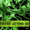 About NeverLettingGo Song