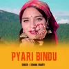 About Pyari Bindu Song