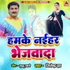 About Hamke Naihar Bhejwada Song