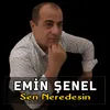 About Sen Neredesin Song