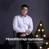 About Махаббатқа адалмын Song