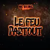 About LE FEU PARTOUT Song