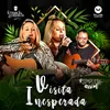 About Visita Inesperada Song