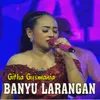 Banyu Larangan