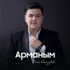 About Арманым Song