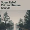 About Pretty Rain Song