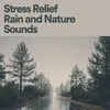 About Offering Rain Song