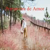 About Primavera de Amor Song