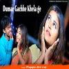 About Dumar Gachhe Khela ge Song