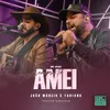 About Sempre Te Amei (Estúdio Showlivre Sertanejo) Song