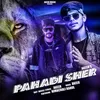 About Pahadi Sher Song