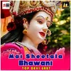 Mai Sheetala Bhawani