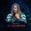 About Speedometer Song