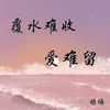 About 覆水难收爱难留 Song