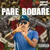 About Pare Bodare Song