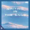 About Waiting in the Snow Song