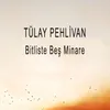 About Bitliste Beş Minare Song