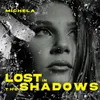 About Lost In The Shadows Song