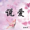 About 说爱 Song