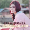 About Kamulah Aku Song