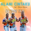 About Alani Cintaku Song